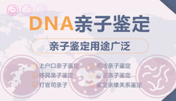 福州亲子鉴定多少钱