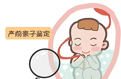 福州怀孕需要如何做血缘检测,福州胎儿做亲子鉴定办理流程 福州怀孕需要如何做血缘检测,福州胎儿做亲子鉴定办理流程